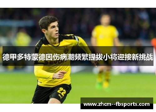 德甲多特蒙德因伤病潮频繁提拔小将迎接新挑战